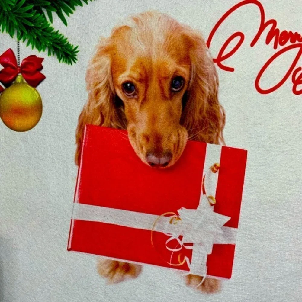 Holiday Doormat Puppy Dog Christmas Decor Rectangle 16 X 24 In Multicolor